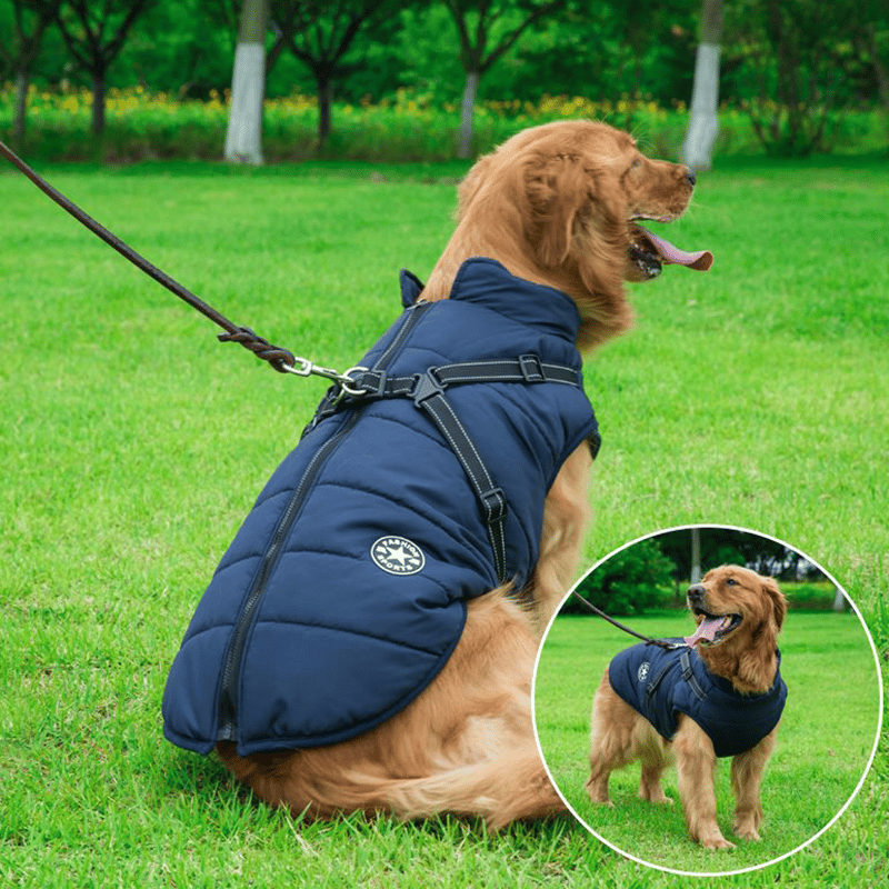 🐶Neujahrsverkauf 55% Rabatt🐾Wasserdichter Warmer Multifunktionaler Hundemantel