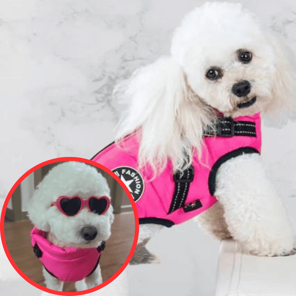 🐶Neujahrsverkauf 55% Rabatt🐾Wasserdichter Warmer Multifunktionaler Hundemantel
