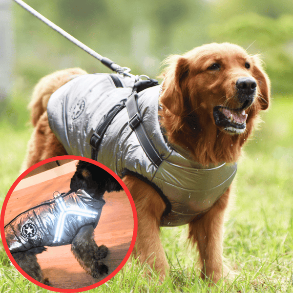 🐶Neujahrsverkauf 55% Rabatt🐾Wasserdichter Warmer Multifunktionaler Hundemantel