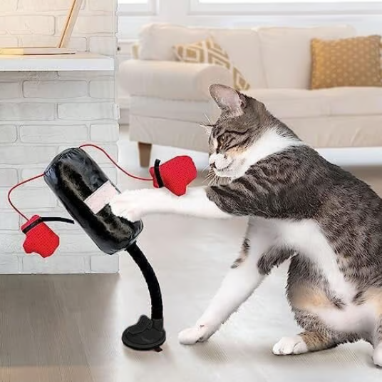Sac de frappe – jouet amusant, stimulant et anti-stress pour votre chat ! | BLACK FRIDAY – 49 % de réduction 🎉